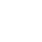  Wirbeltherapie nach DORN